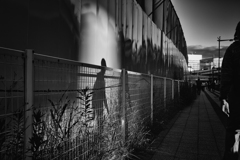 Shadow on the wall