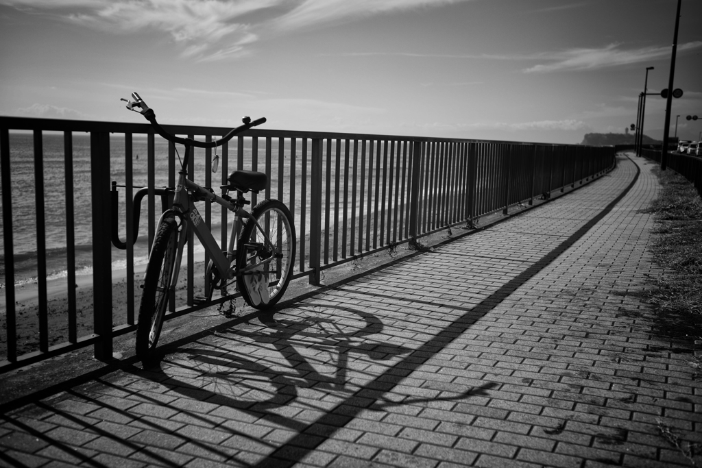 bicycle on the street