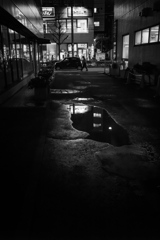 濡れた夜道
