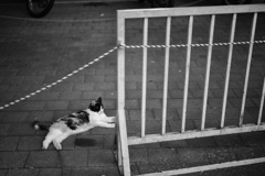 「ちょっと待ってろ、いま開けてやっから」