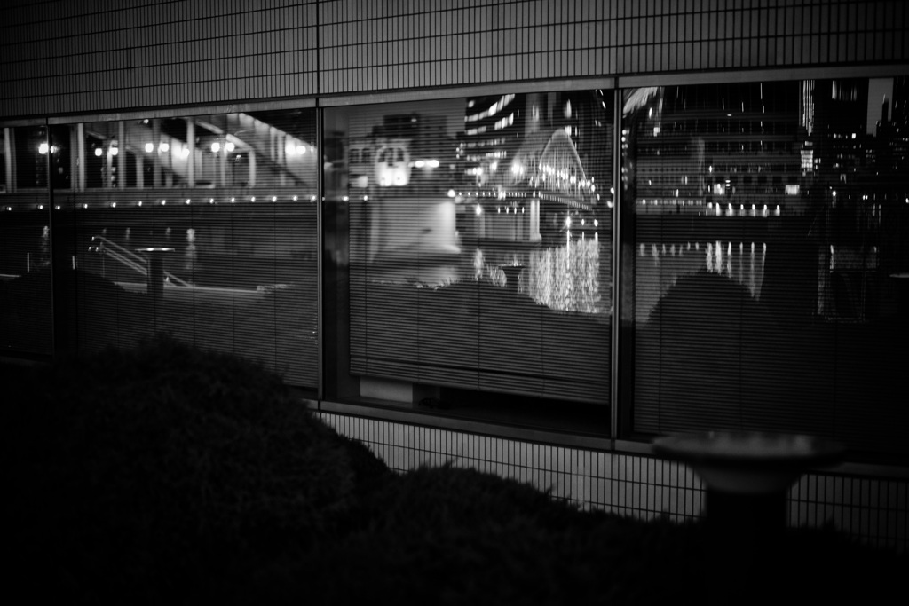 the reflection