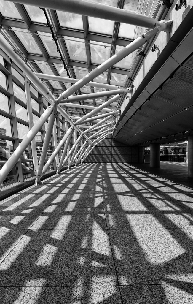 Shadow of frame