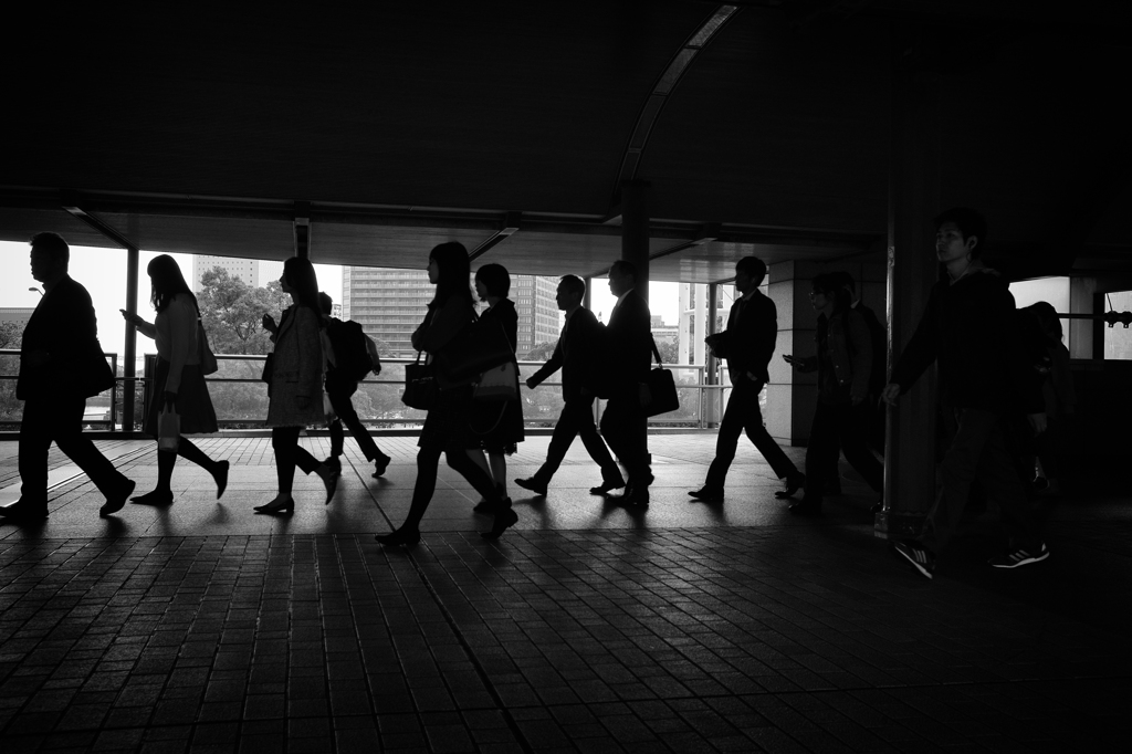 silhouette #54