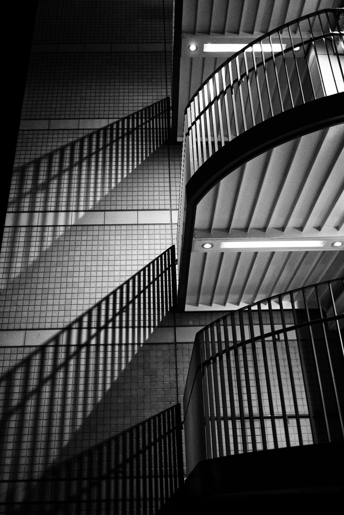 Shadow of fence