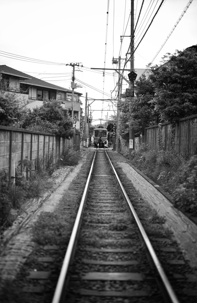 日常の風景〜電車と人