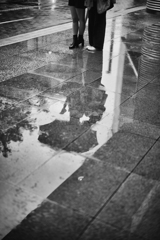 雨の風景