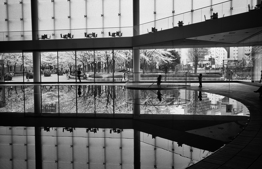 reflection #7