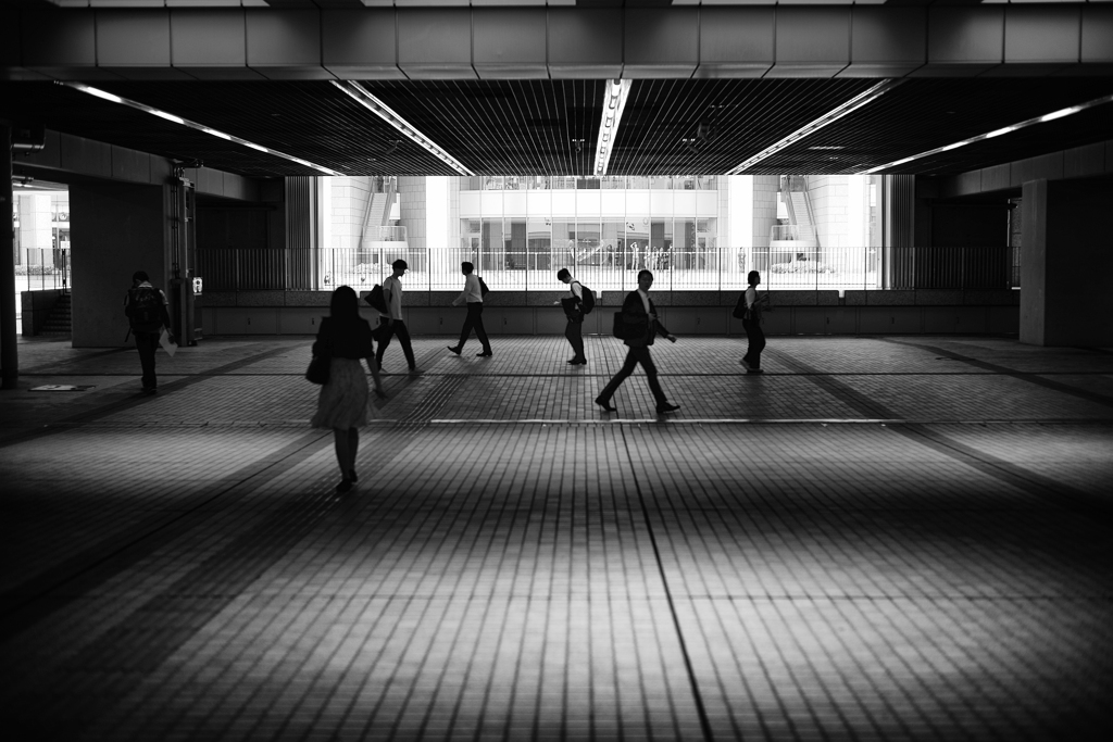 silhouette #50
