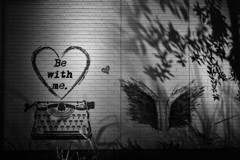 typewriter,book and  shadow