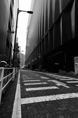 Tokyo Street
