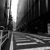 Tokyo Street