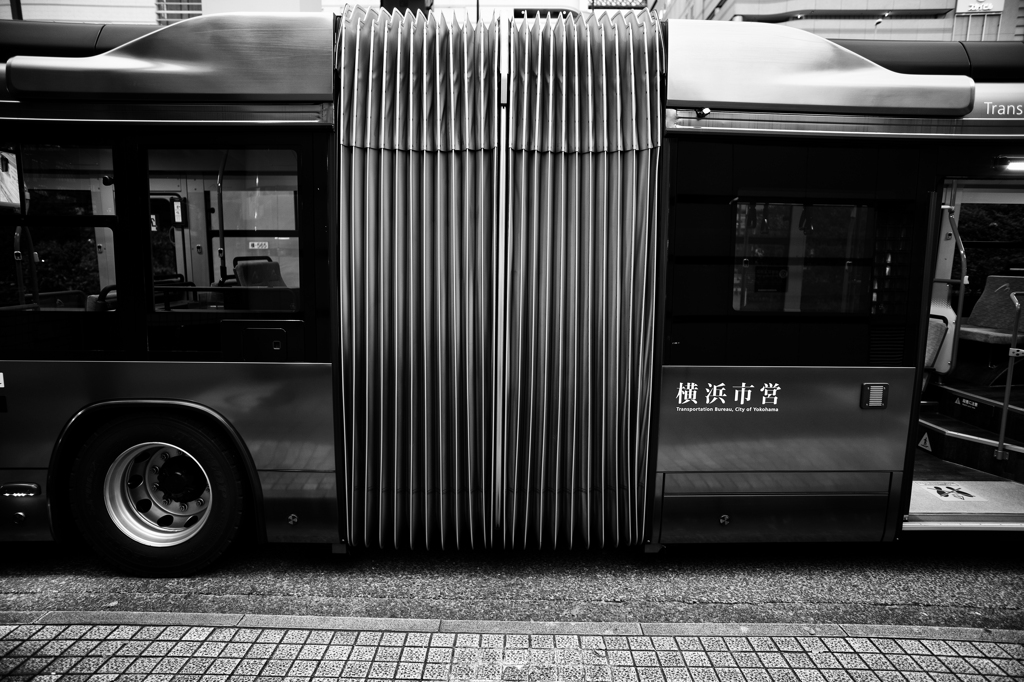 モノクローム