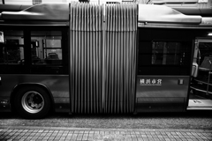 モノクローム