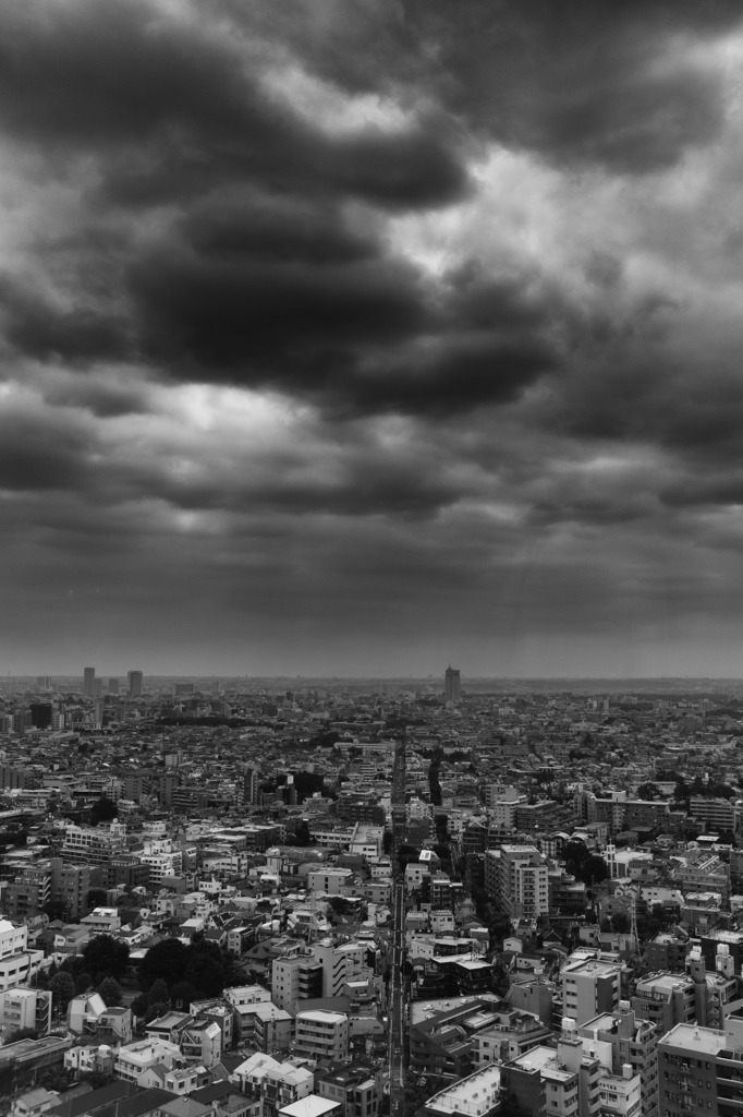 ある日の世田谷区の雲