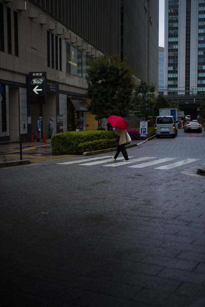 東京は今日も雨だった...