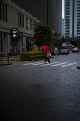 東京は今日も雨だった...