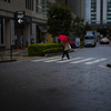 東京は今日も雨だった...