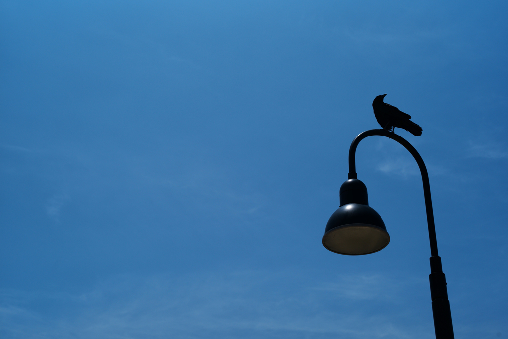 ミニマルフォト