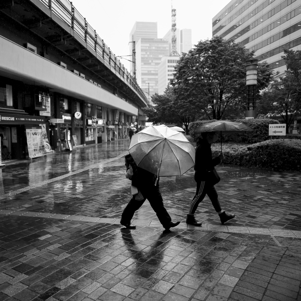 傘が咲いた日