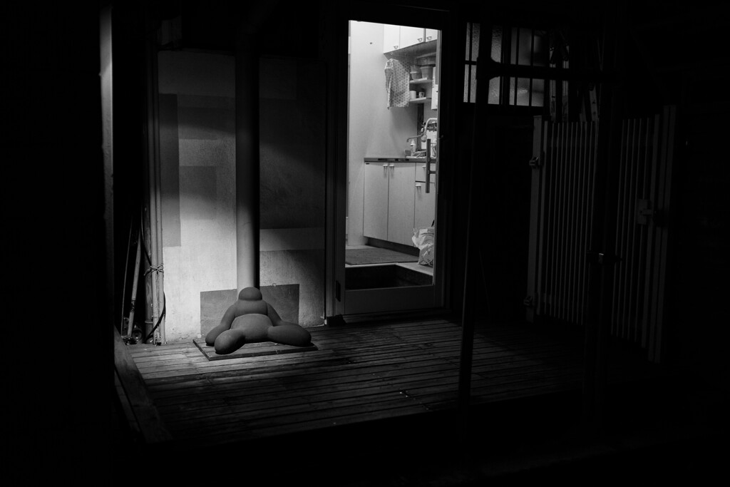 ここまで帰ってきたのに…という情景