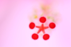 ファイブスター