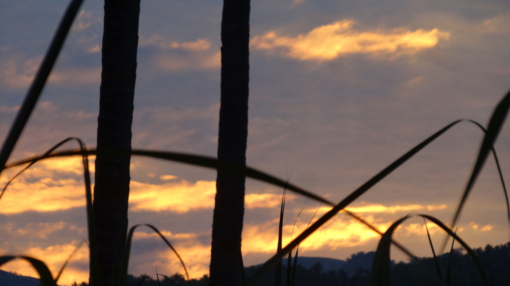 隙間の夕焼け