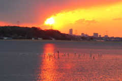 夕日燃ゆ