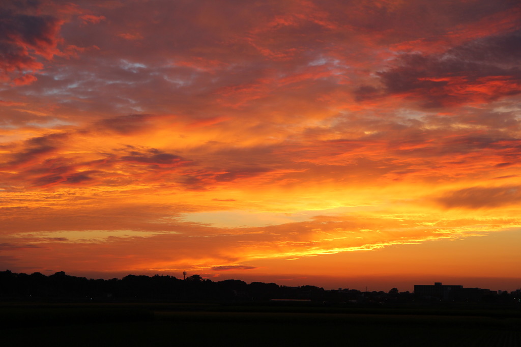 久しぶりの夕焼け