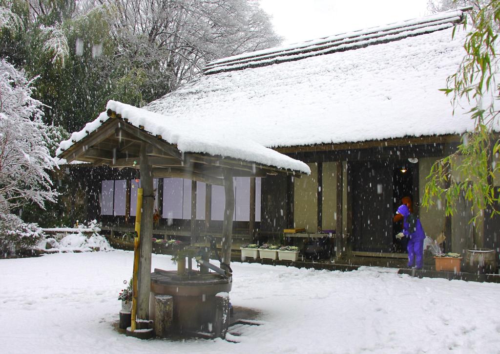 雪化粧