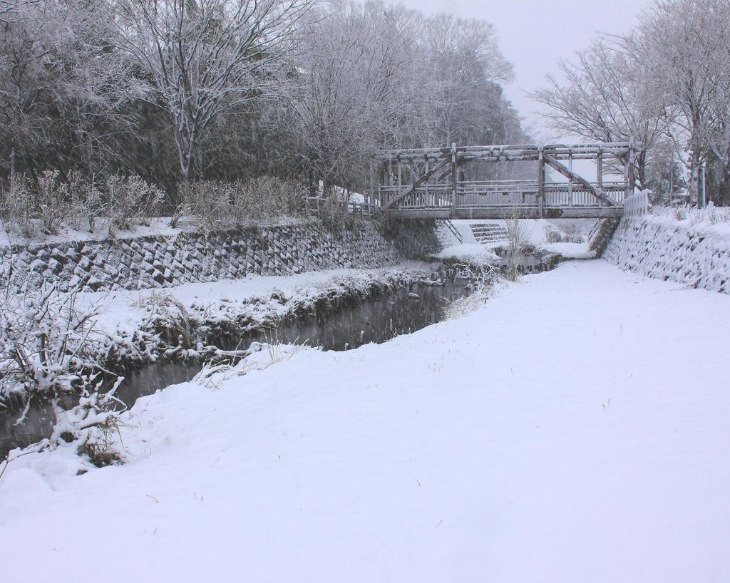 二ツ橋の水辺