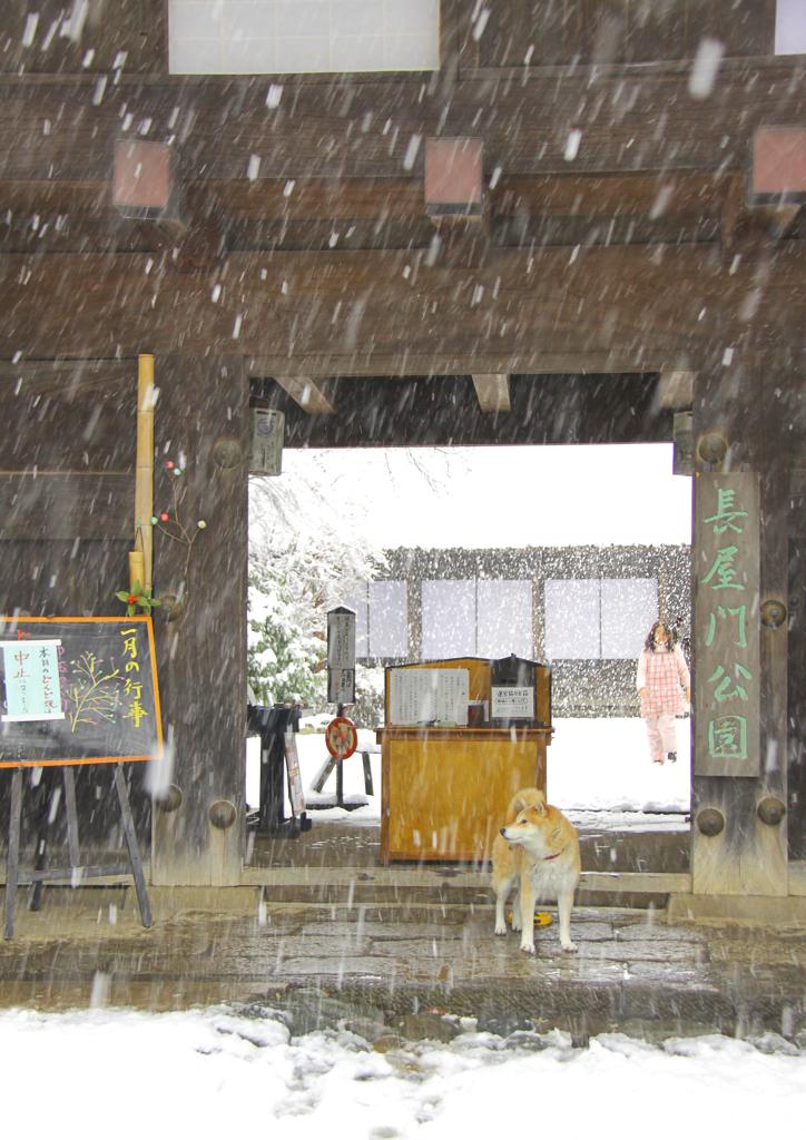 雪の長屋門公園