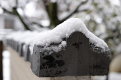 雪積もったよ