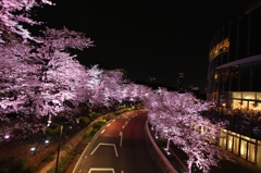 春の夜に　上から