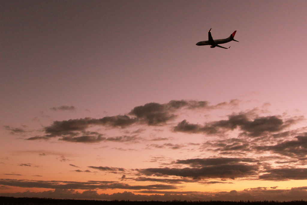 Boing747-800 SUNSET CRUISE