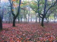 朝霧の鈴蘭公園