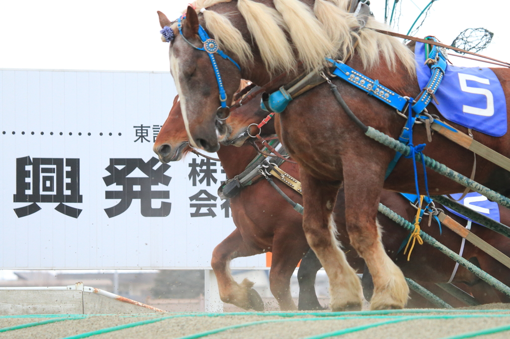 ばんえい十勝２