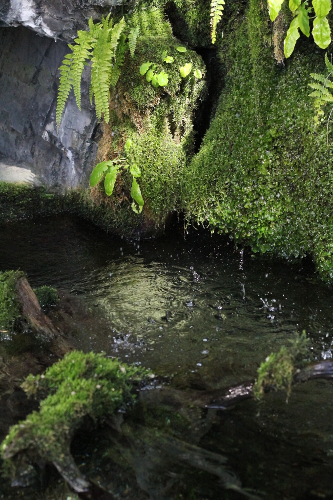 green water
