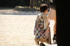美しい日