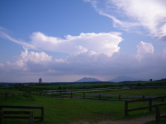 牧場の蒼空