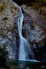 湿流(兵庫・摩耶山)