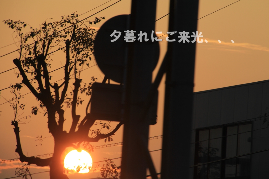 夕暮れにご来光