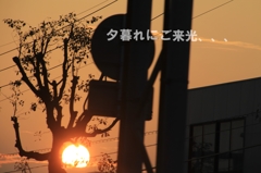夕暮れにご来光
