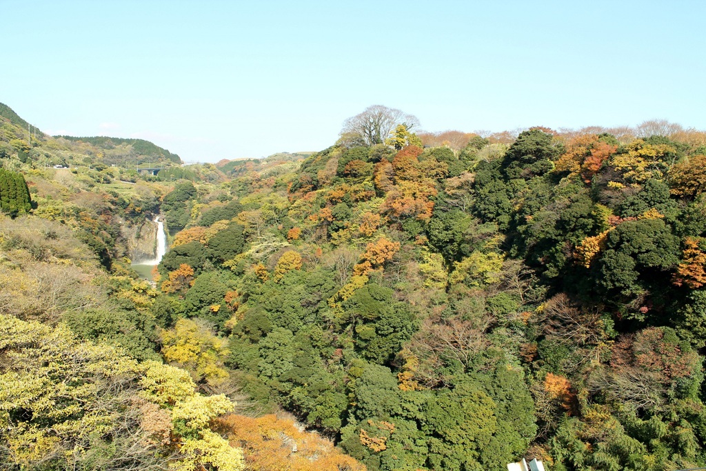 阿蘇の森海