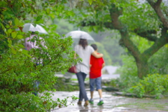 帰ろうの雨