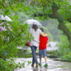 帰ろうの雨