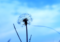 その芽どこに息吹く