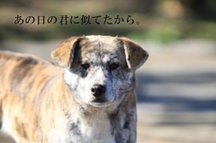 あの日