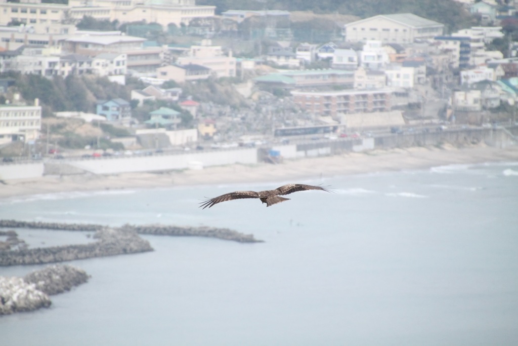 滑空