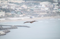 滑空