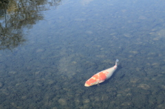 和心